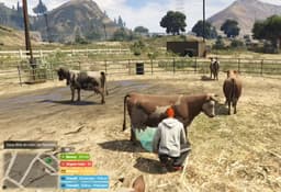 Farmer Job (+ map) 1