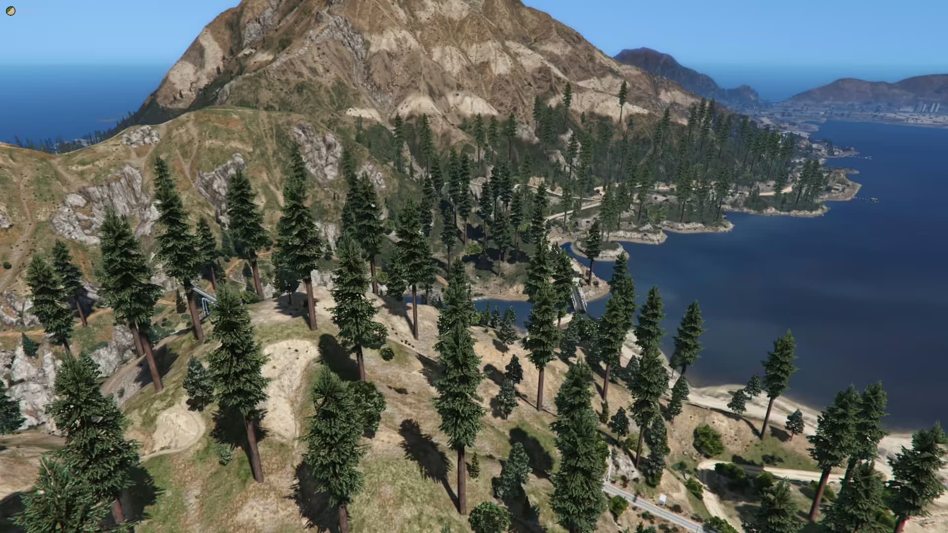 Forest FiveM esx FiveM Script