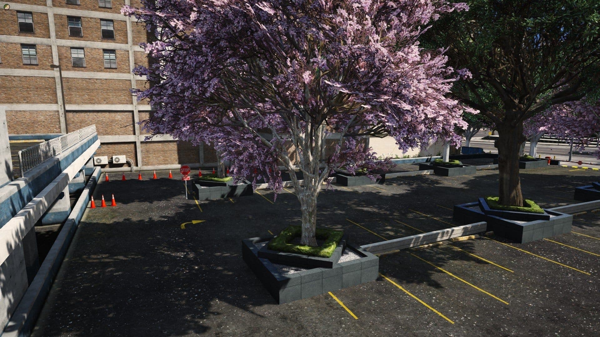 MeetingGlowUp FiveM Script — esx 5