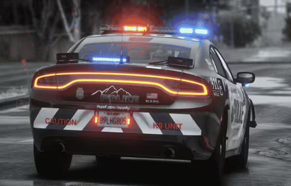 Code 3 Mega Pack LSPD Liveries FiveM Script — FiveM 8