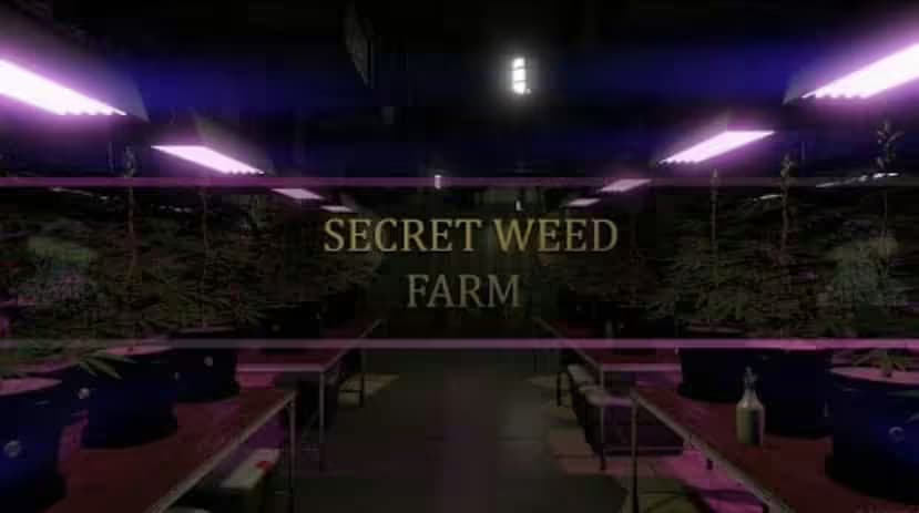 Secret Weed farm MLO esx FiveM Script