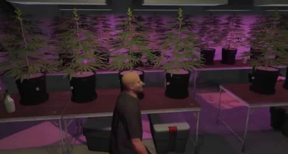 Secret Weed farm MLO FiveM Script — esx 5