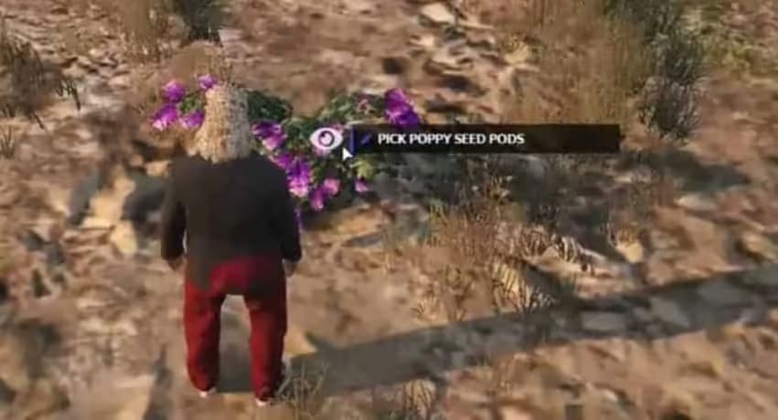 DHM Heroin (Drogensystem V12) FiveM Script — esx 2