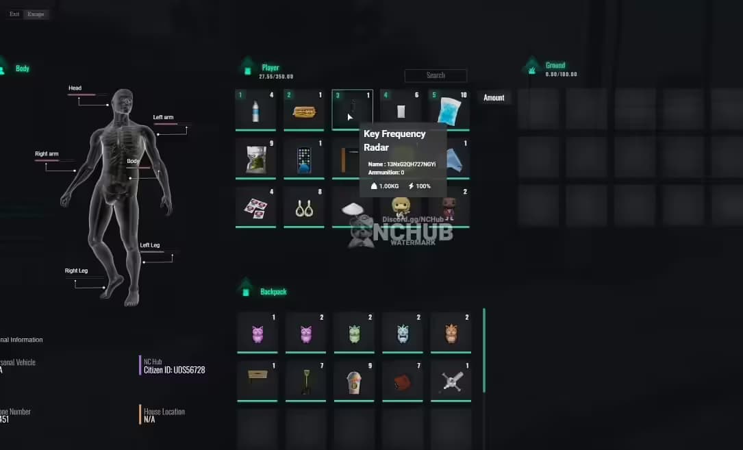 NCHUB V2.0 | NoPixel Inspired FiveM Script — qbcore 9