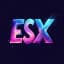 ESX Scripts logo