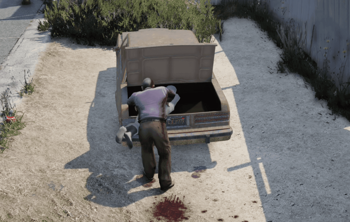 Los Santos Serial Killer